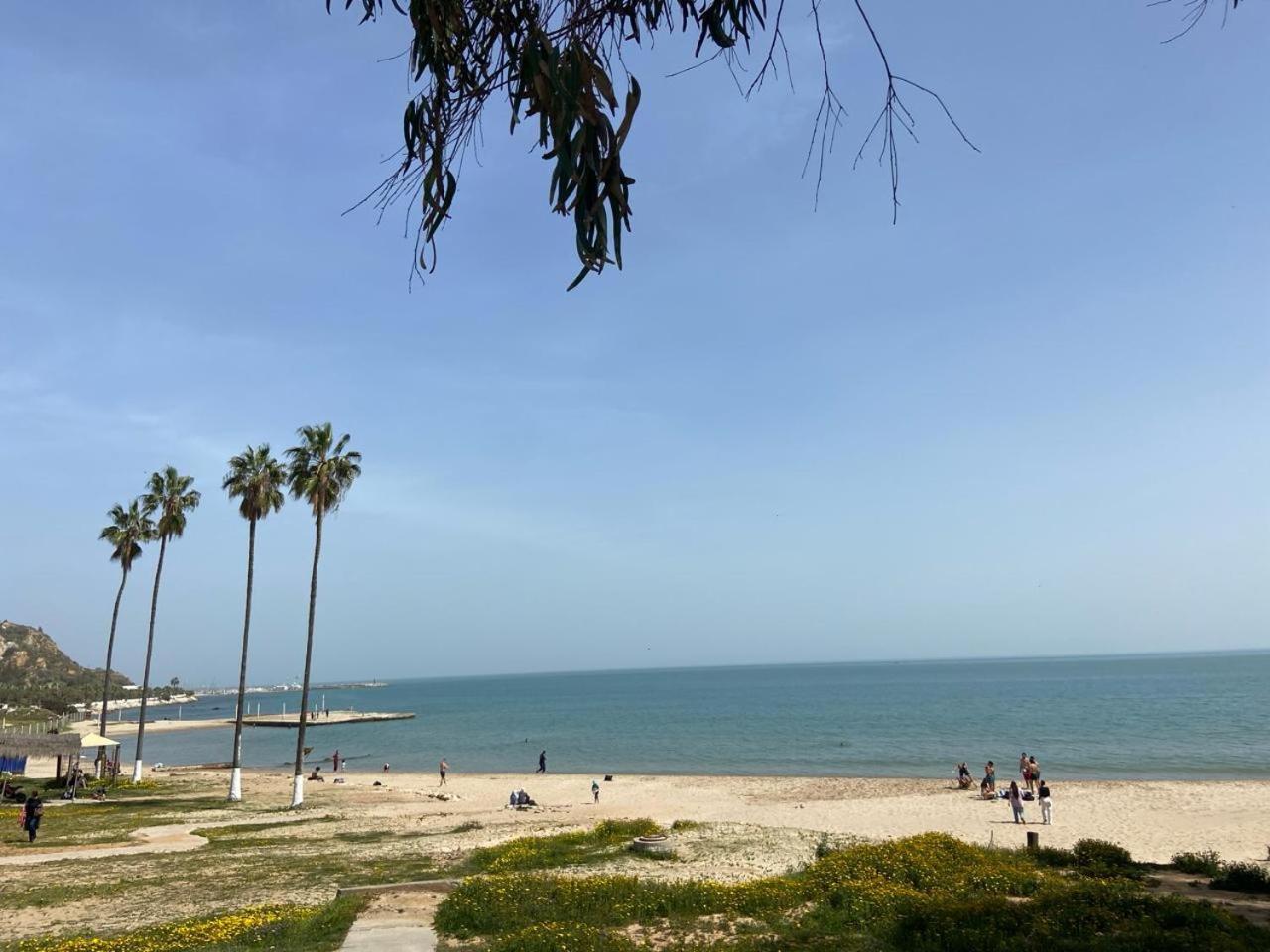 Marsa-Sidi Bousaid Cosy Authentic Apartment المرسى المظهر الخارجي الصورة